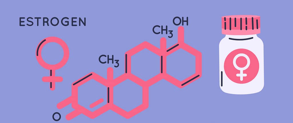 Estrogen Dominance 