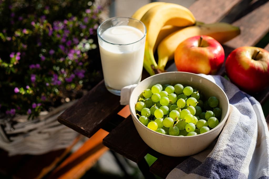Longevity Diet