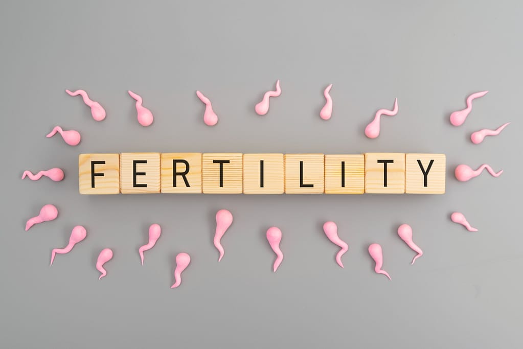 Fertility Optimization 